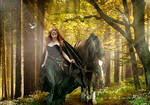 The path to home by FrozenStarRo