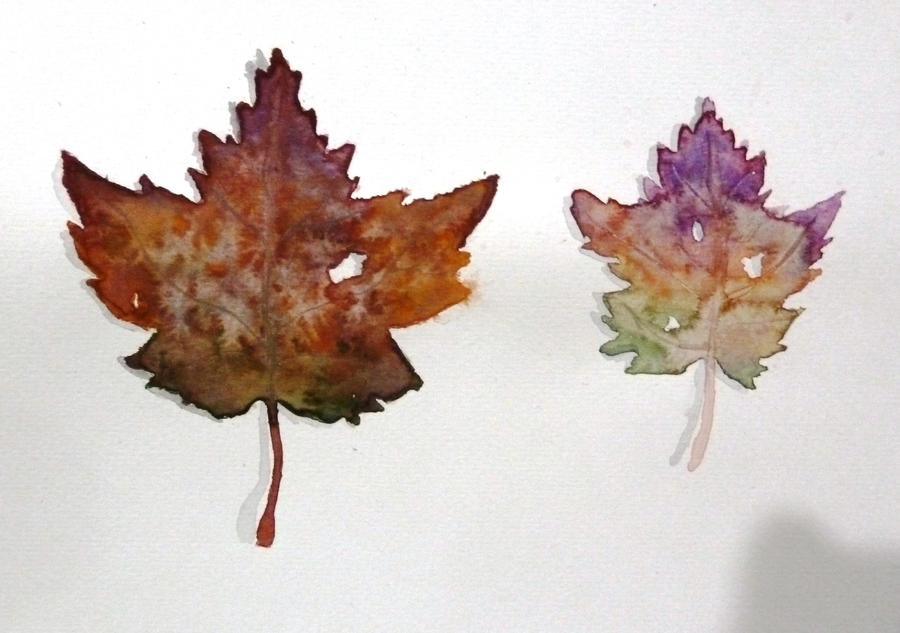Watercolour leaves
