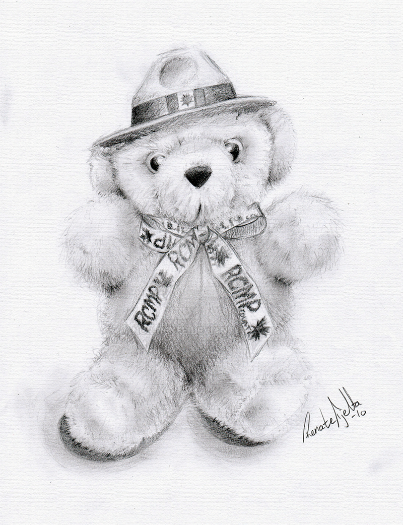 Canadian Teddy Bear Realistic