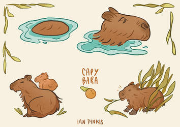 Capybara