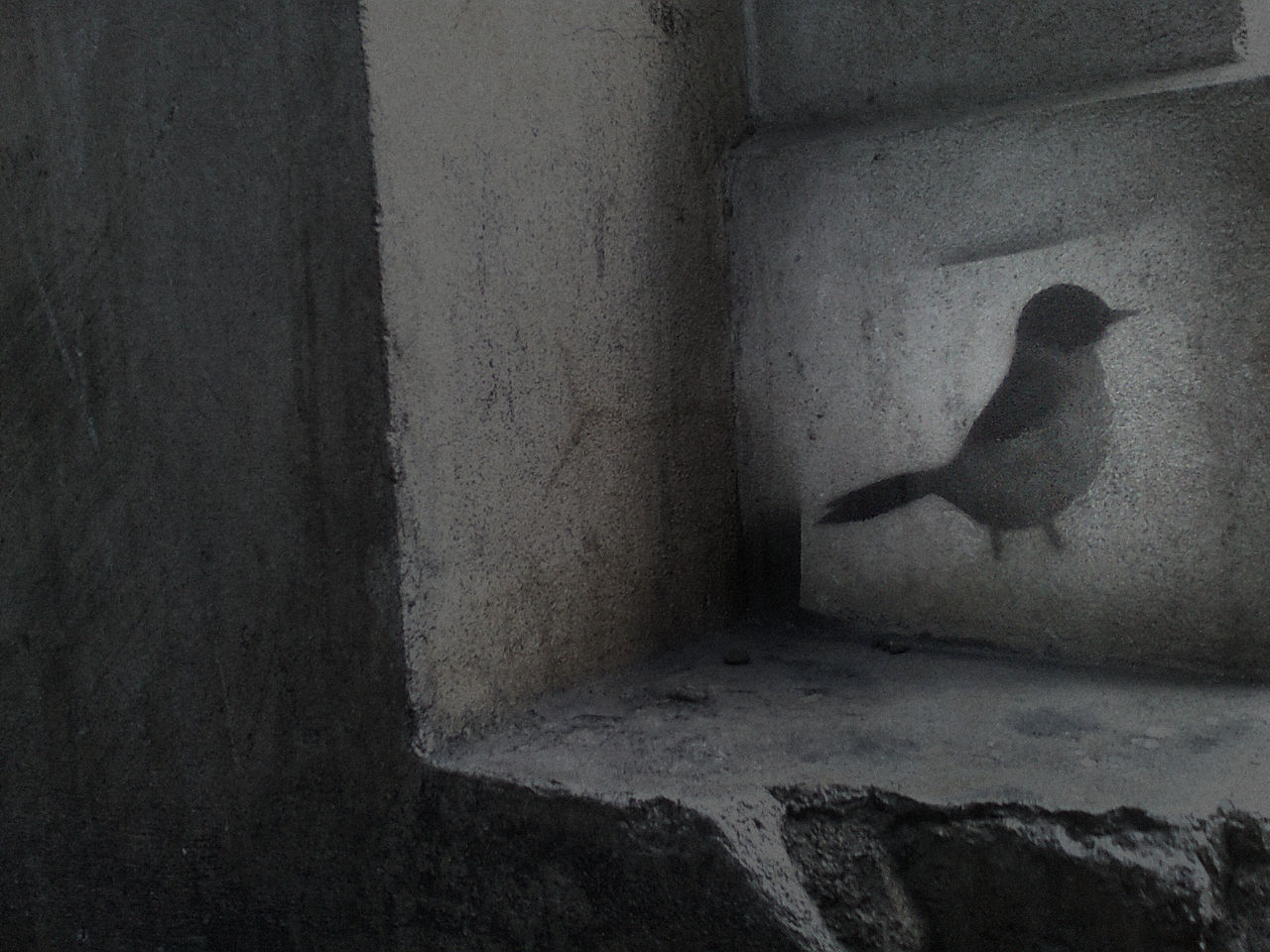 Auckland Sparrow