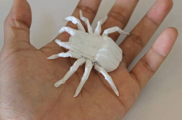 Tarantula by Tadashi Mori test fold