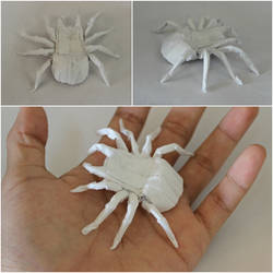 Tadashi Mori's Tarantula