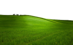 GREEN GRASS PNG - USE ANYWHERE (TRANSPARENT) by TheArtist100