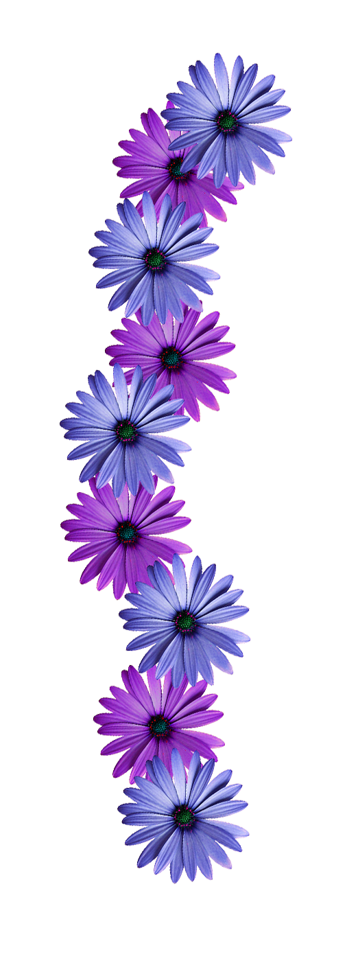 FLOWER VINE PNG