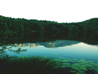 PNG TRANSPARENT - NATURE POND