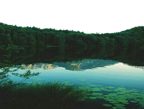 PNG TRANSPARENT - NATURE POND