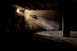cellar light by Haszczu