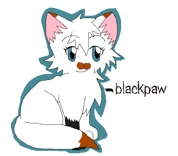 Blackpaw