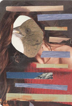 atc swap free as a bird 2