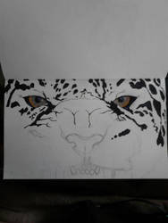 Leopard4