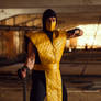 Scorpion cosplay costume