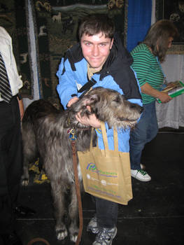 The Irish Wolfhound