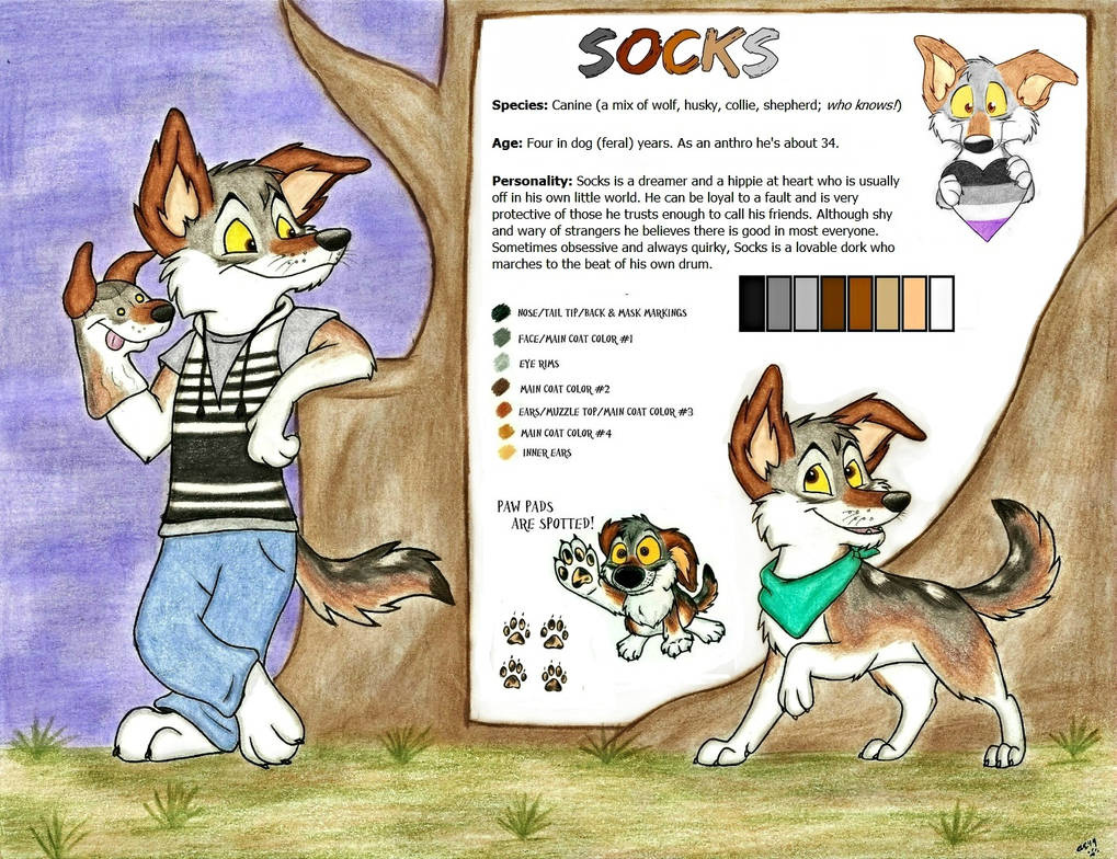 Socks Reference Sheet by SocksTheMutt on DeviantArt