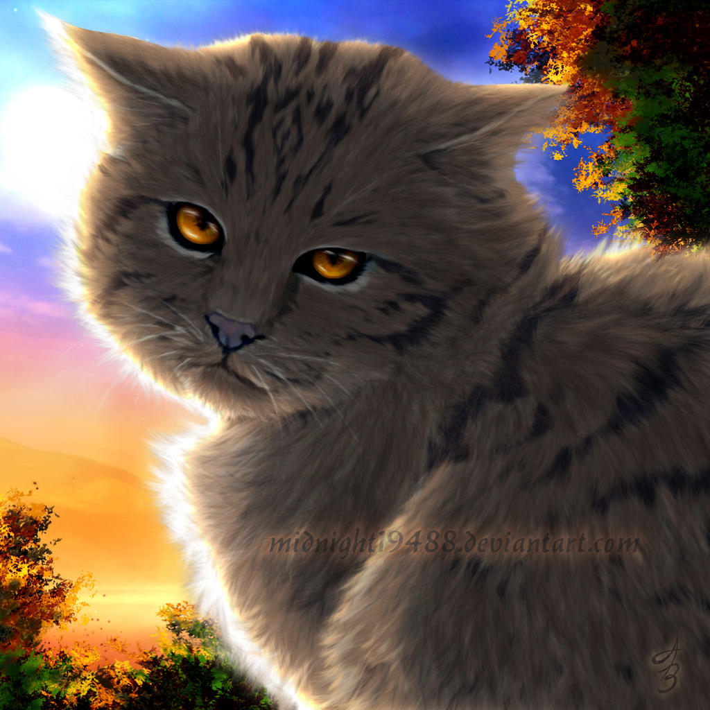 Warrior Cats Brambleclaw