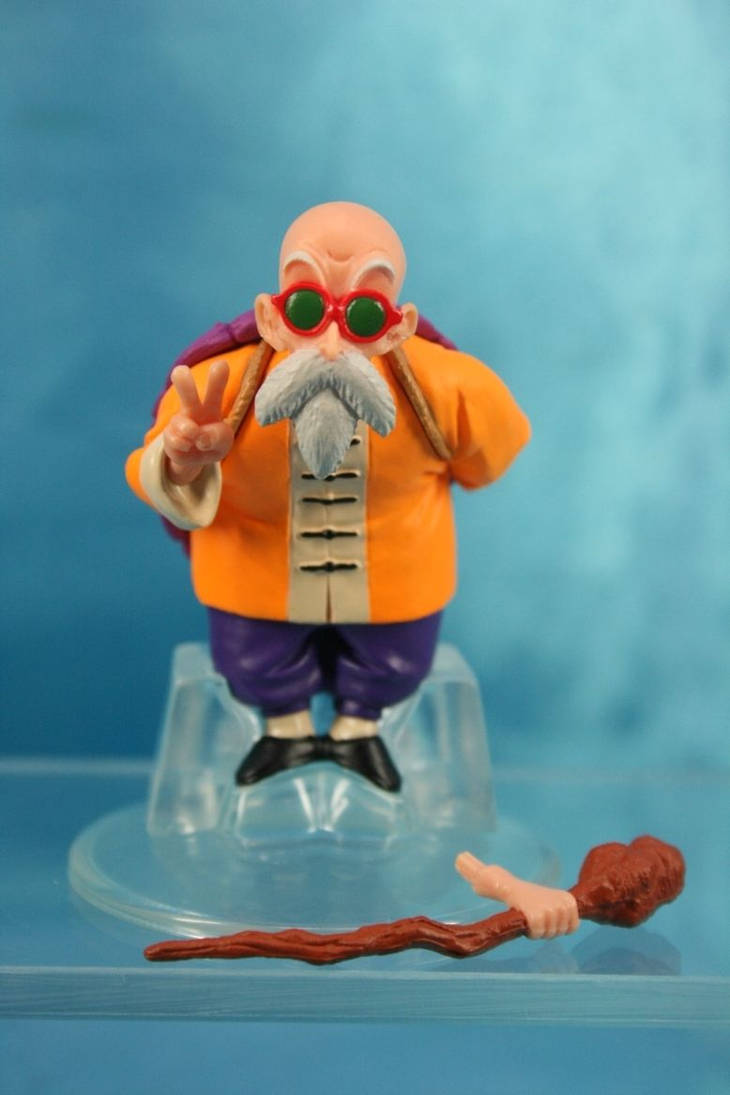 Master Roshi by SpottedWildCat on DeviantArt