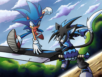 SONIC VS RAITO