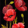 Poppies