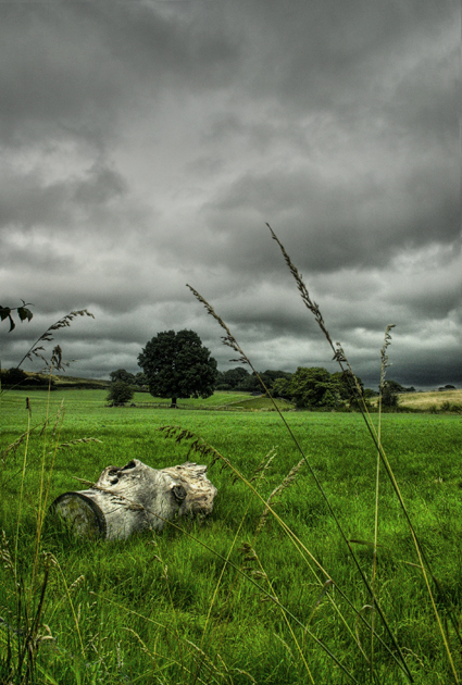 A Cloudy day