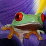 Frog amongst the Irises