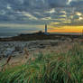 Lighthouse in the wilderness