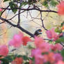 Flora and fauna on Flores