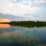 Flying foxes island at sunset