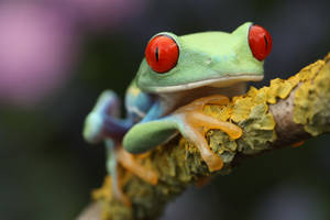 Suspicion