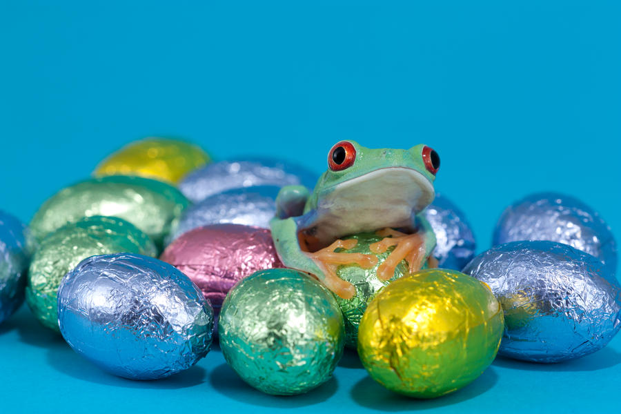 Easter frog 2 by AngiWallace on DeviantArt