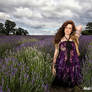 Lavender field portrait