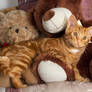 Amber and teddies