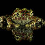 Vietnamese mossy frog 2
