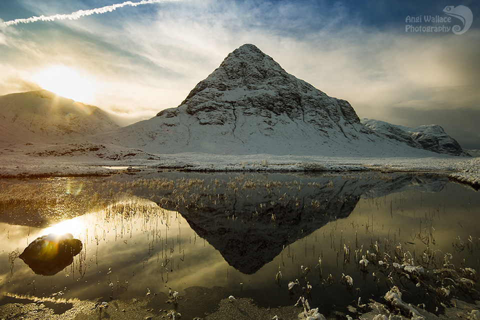 Wintery reflections