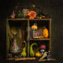 The witches shelves