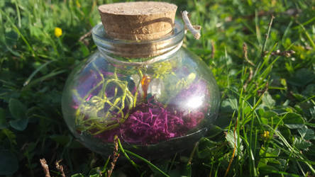 Crystal Garden Health Apothecary Jar