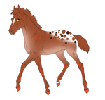 SPS 7561 Foal Design by theMadFurball