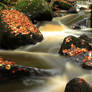 Padley Gorge