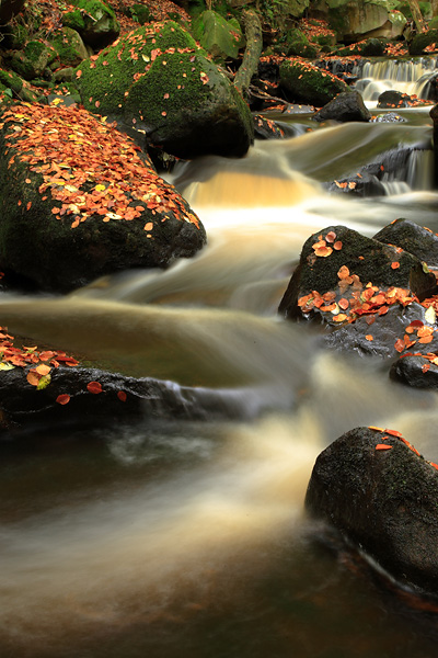 Padley Gorge