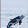 Leaping Wild Orca