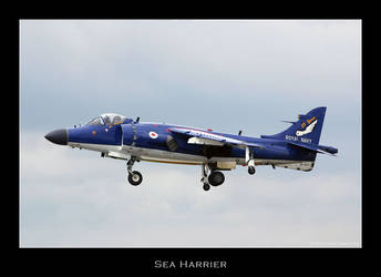 Sea Harrier