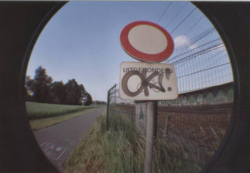 fisheye 010