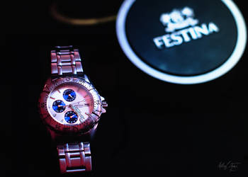 Festina Tour de France Limited Edition