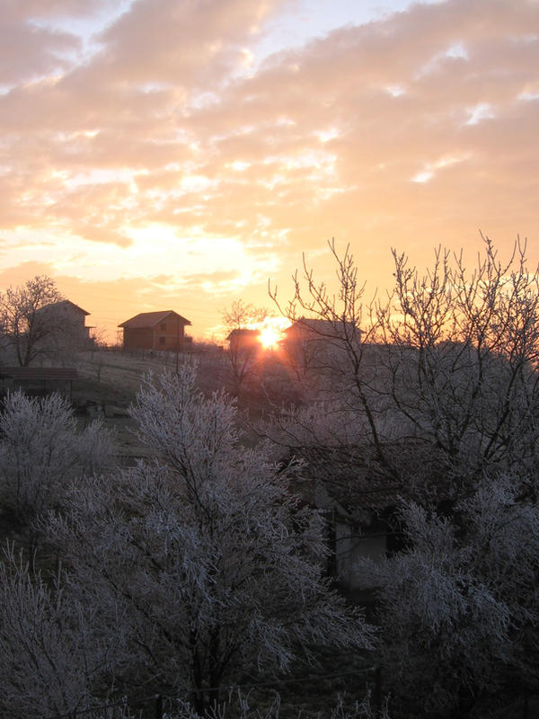 Frosted Dawn 3 by EvenstarAeria on DeviantArt