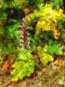 Acanthus Flower