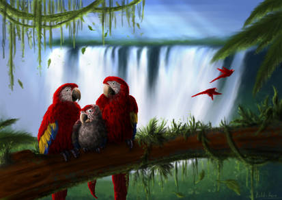 parrots