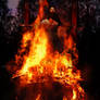 The Stake of the Witches