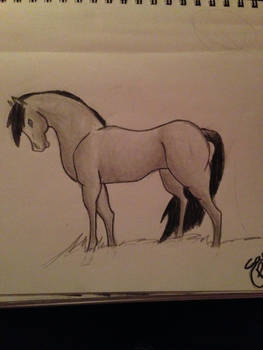 horse drawing