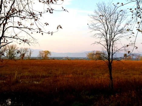 delta park - fall field