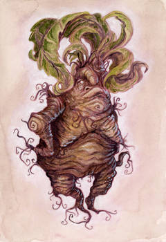 Mandrake 3