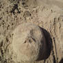 Sand face 1